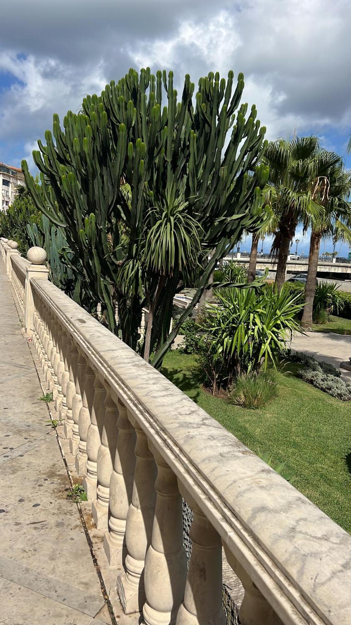 Les Terrasses De Malabata Apartment Tangier Bagian luar foto